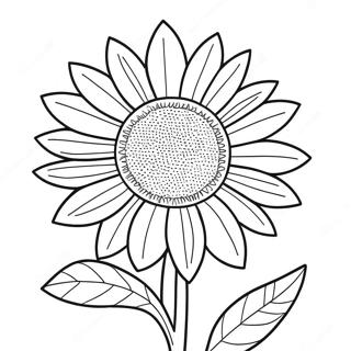 Vibrant Ukrainian Sunflower Coloring Page 40654-32133