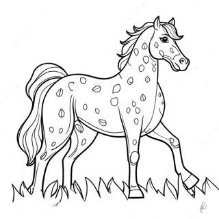 Appaloosa Horse Coloring Page 41283-32606