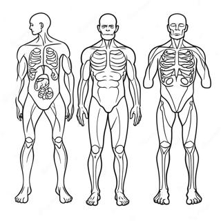 Body Systems Coloring Page 41843-33055