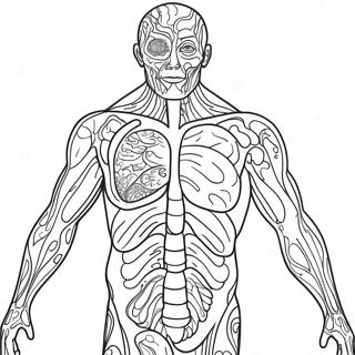 Body Systems Coloring Page 41843-33056