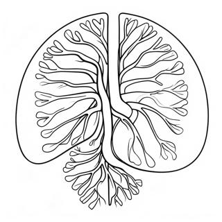 Human Circulatory System Coloring Page 41844-33080