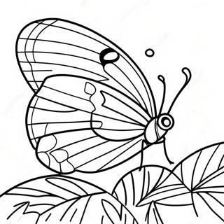 Colorful Leafwing Butterfly Coloring Page 43174-34129