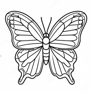 Colorful Leafwing Butterfly Coloring Page 43174-34132