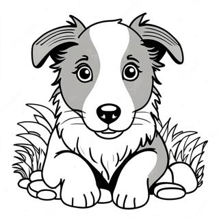 Border Collie Puppy Coloring Page 43353-34257