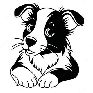 Border Collie Puppy Coloring Page 43353-34259