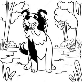 Playful Border Collie In The Park Coloring Page 43354-34265