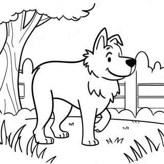 Playful Border Collie In The Park Coloring Page 43354-34267