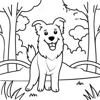 Playful Border Collie In The Park Coloring Page 43354-34268