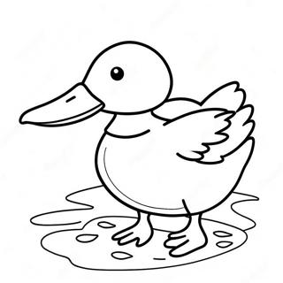 Mallard Duck Coloring Pages