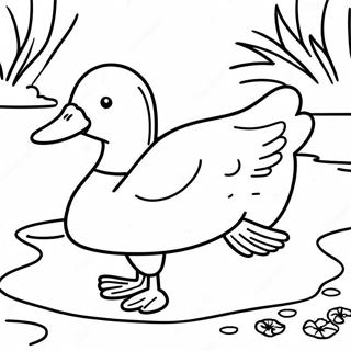 Colorful Mallard Duck In Pond Coloring Page 44634-35276