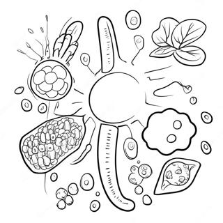 Immune System Coloring Pages