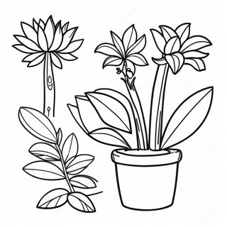 Parts Of A Plant Coloring Pages