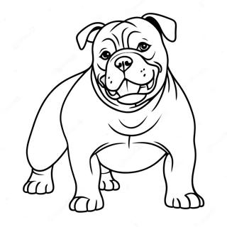 American Bully Dog Coloring Page 47163-37285