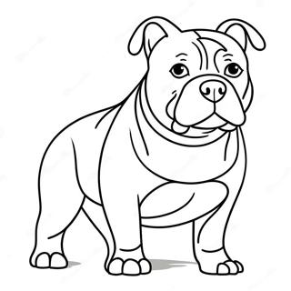 American Bully Dog Coloring Page 47163-37288