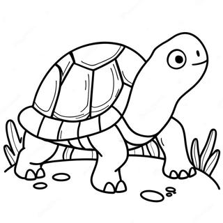 Franklin The Turtle Coloring Page 47453-37515