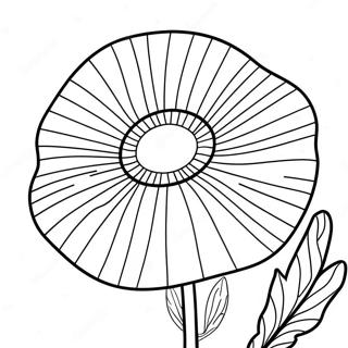 Poppy Flower Coloring Pages