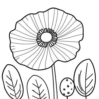 Papaver Kleurplaat 47613-37638