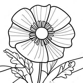 Papaver Kleurplaat 47613-37640