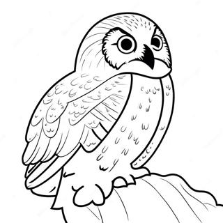 Snowy Owl Coloring Page 48113-38038