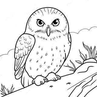 Snowy Owl Coloring Page 48113-38039