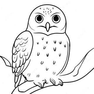 Snowy Owl Coloring Page 48113-38040