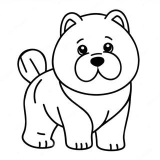 Chow Chow Pagini De Colorat