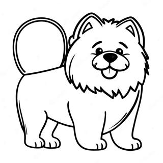 Fluffy Chow Chow Coloring Page 48244-38142