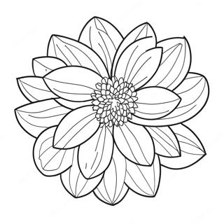 Dahlia Flower Coloring Page 49153-38878