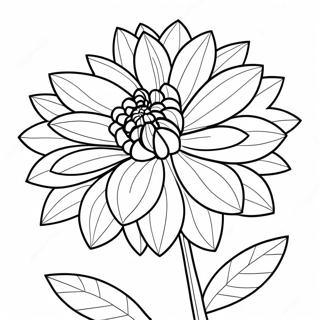 Dahlia Flower Coloring Page 49153-38879