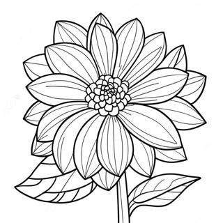 Pagina De Colorat Floare Dahlia 49153-38880