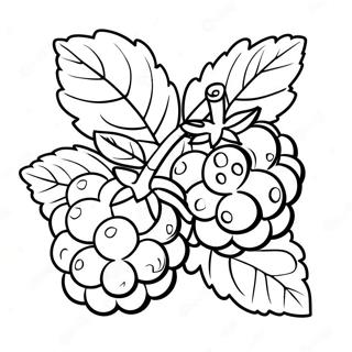 Raspberry Coloring Pages