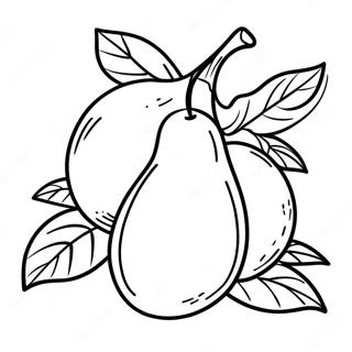 Mango Fruit Coloring Page 49523-39167