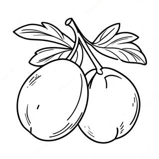 Mango Fruit Coloring Page 49523-39168