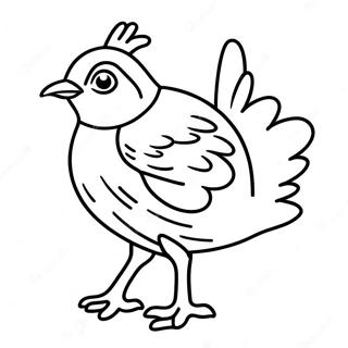 Quail Coloring Pages