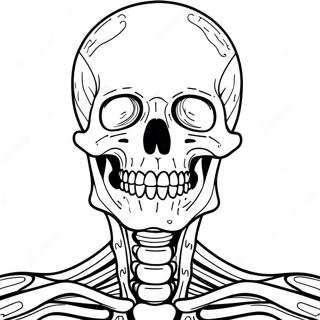 Skeletal System Anatomy Coloring Page 50353-39841