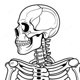 Skeletal System Anatomy Coloring Page 50353-39843