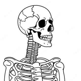 Skeletal System Anatomy Coloring Page 50353-39844