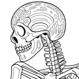 Human Skeleton Detailed Coloring Page 50354-39821