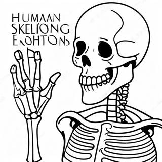 Human Skeleton Detailed Coloring Page 50354-39823