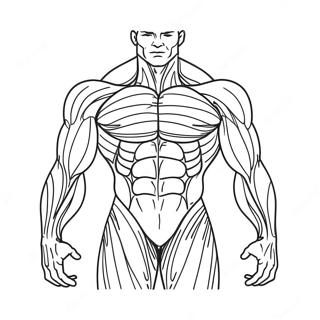 Muscle Anatomy Coloring Page 50553-39998