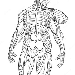 Muscle Anatomy Coloring Page 50553-39999