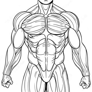 Muscle Anatomy Coloring Page 50553-40000