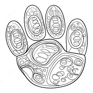 Paw Print Coloring Page 50573-39991