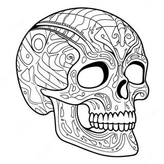 Skull Crawler Coloring Page 50643-40038