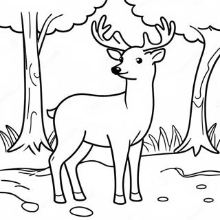 Realistic Deer For Adults Coloring Pages