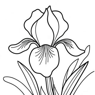 Iris Coloring Pages