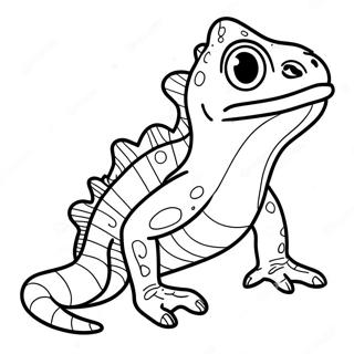 Newt Coloring Page 52643-41646