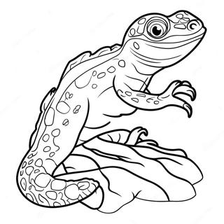 Newt Coloring Page 52643-41648