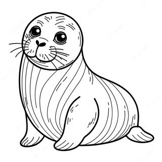 Seal Coloring Pages