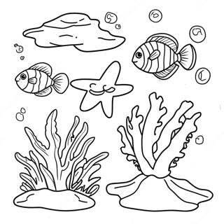 Coral Reef Coloring Page 5440-4323